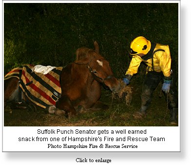 Hampshire Fire and Rescue Rescues Suffolk Punch