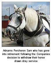  adnams brewery withdraws percheron dray horses
