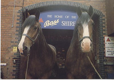 bass shire horses burton-on-trent